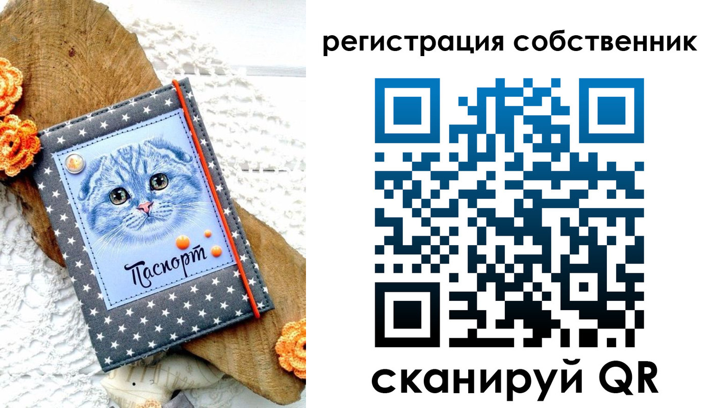 прописка для работы в Владимире